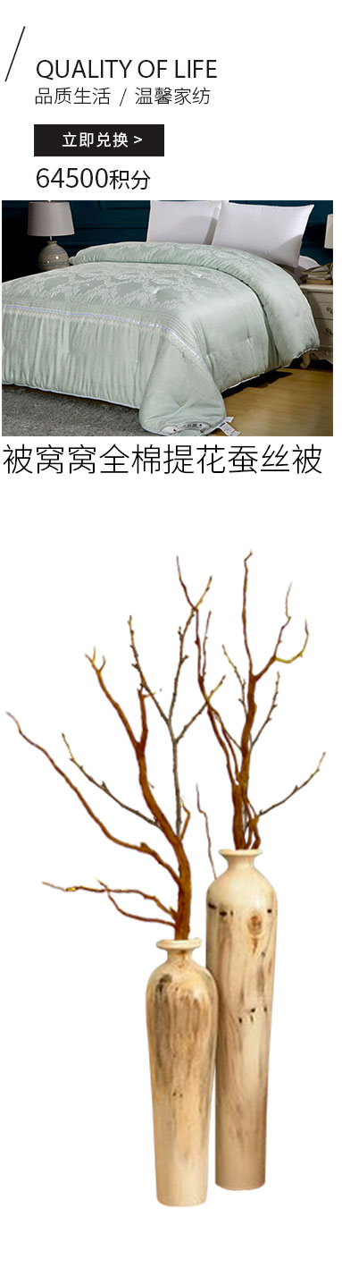 被窝窝全棉提花蚕丝被