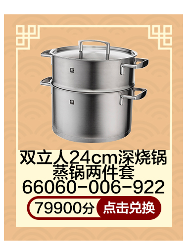 双立人24cm深烧锅蒸锅两件套66060-006-922