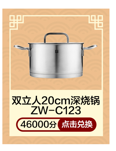 双立人20cm深烧锅ZW-C123