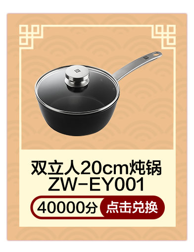 双立人20cm炖锅ZW-EY001