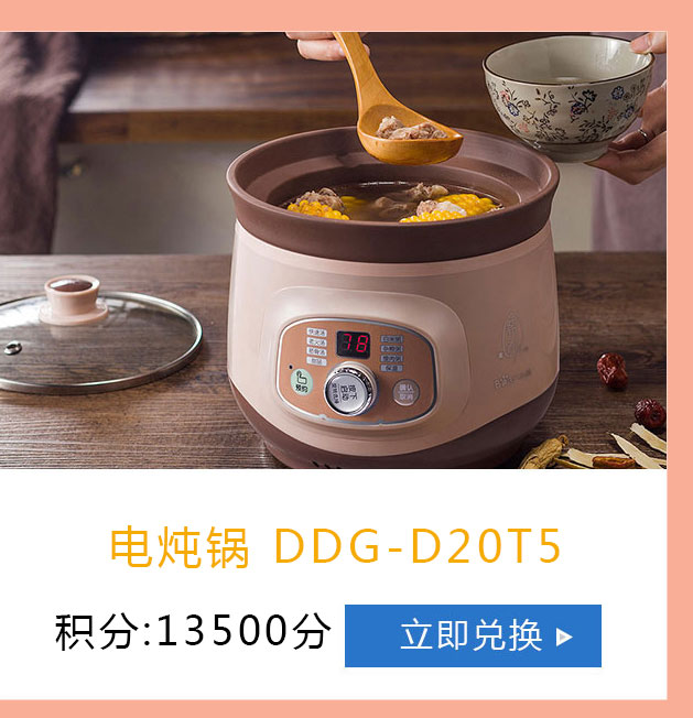 小熊 电炖锅 DDG-D20T5