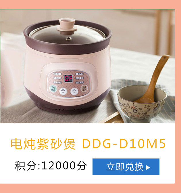小熊 电炖紫砂煲DDG-D10M5